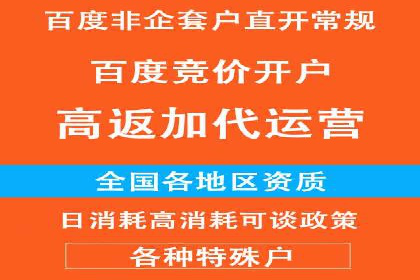 百度竞价排名服务助力：某品牌迅速占领市场